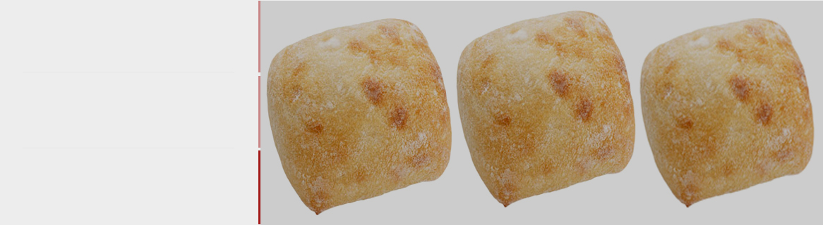 Pain ciabatta long